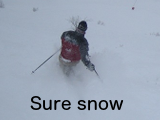 Sure snow